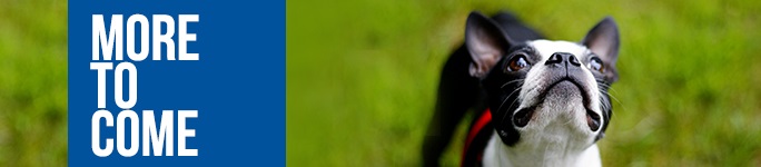 Dog Park Donation Header