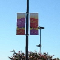 Pole Banner Season