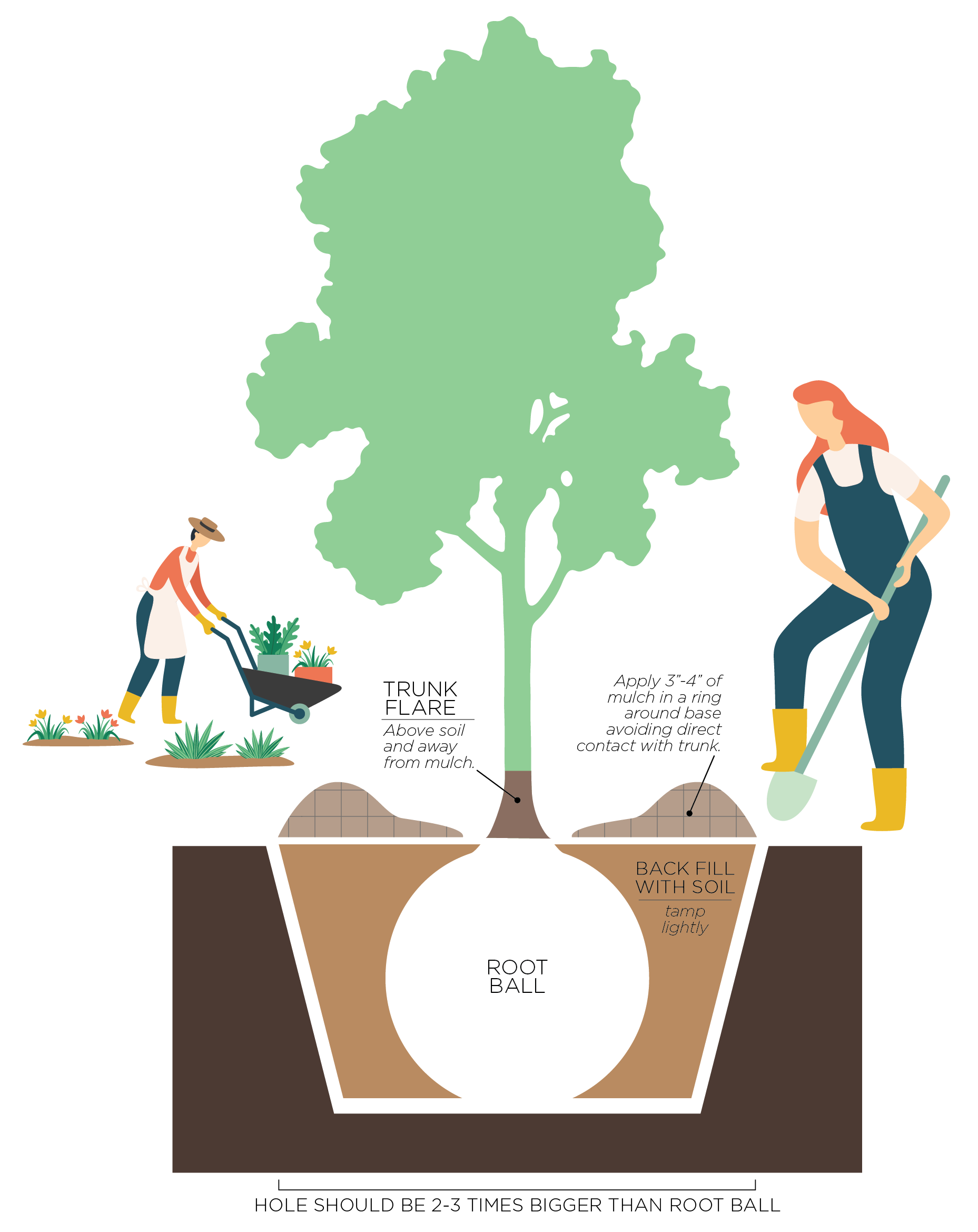 Tree Planting Illustration-01